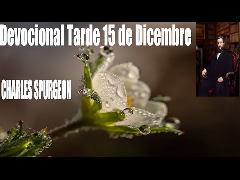 Devocional "Charles Spurgeon" Tarde 15 de Dicembre -.Isaías 54:11