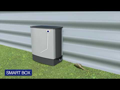Anticimex SMART BOX | Captura Múltipla de Roedores Sem Biocidas