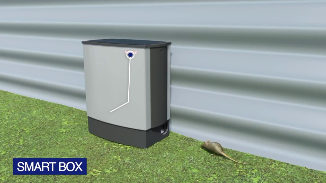 Anticimex SMART BOX | Captura Múltipla de Roedores Sem Biocidas