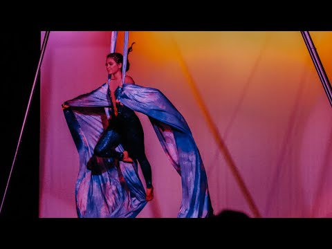 Aerial Silks Performance - Arabian Nights