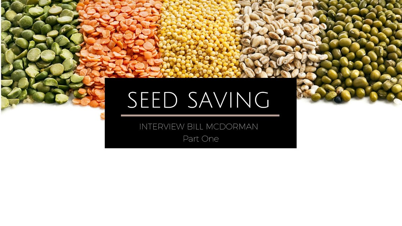 Seed Saving Interview with Bill Mcdorman Part One