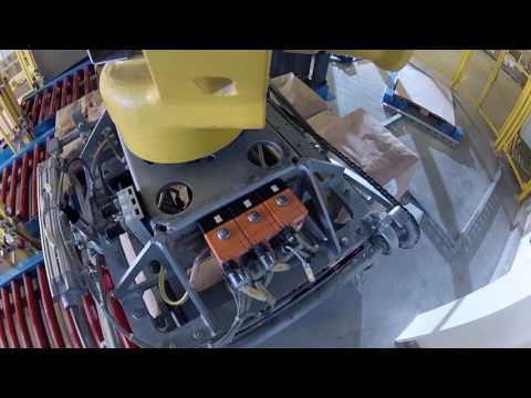 BEUMER Robotpac® Robotic Palletiser