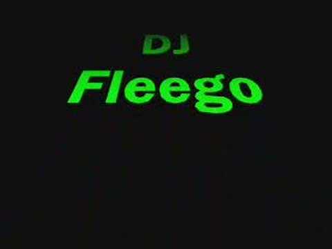 Dj Fleego