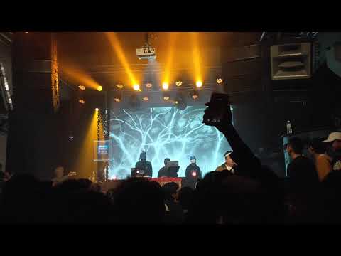 2019/11/16猛龍過江 Gambler - WUDU五堵🎲