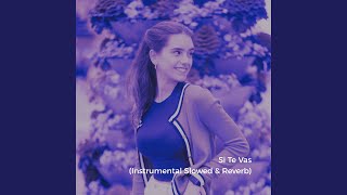 Si Te Vas (Instrumental Slowed)