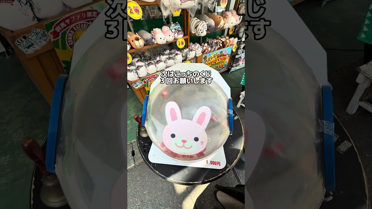 本当に欲しい景品があったので、自称めちゃくちゃ運のいいお姉さんに代理で引いてもらいました。その結果に会場のすべての人が泣いた #クレーンゲーム #一番くじ #くじ引き #群馬