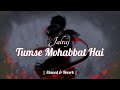 Tumse Mohabbat Hai Lyrics JalRaj Slowed Reverb John Ghosh