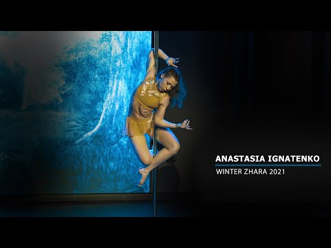 WINTER ZHARA 2021 ART PROFESSIONAL - Anastasia Ignatenko, Novosibirsk