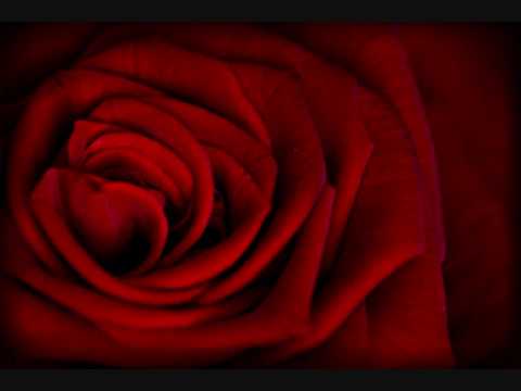 El Barrio - Quiereme