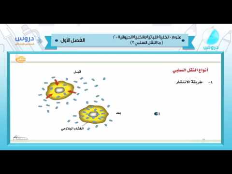 السادس الإبتدائي | الفصل الدراسي الأول 1438 | علوم | الخلية النباتية والخلية الحيوانية 2