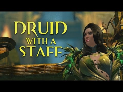 Druid With A Staff - Guild Wars 2 Parody Song