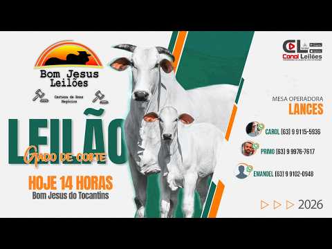 LEILÃO ESPECIAL GADO DE CORTE BOM JESUS LEILÕES | BOM JESUS DO TOCANTINS-TO - 06/10/2026