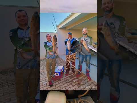 pescaria rio ivai tapira- PR temporada 2025