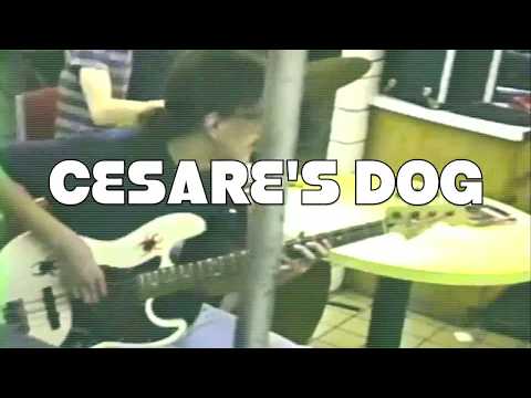 Cesare's Dog Shock Dismay - Recordings 1989-1992
