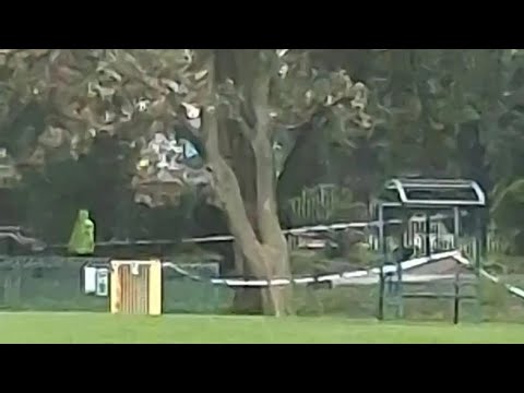 Tragedy in Blackpool: Man Killed by Falling Tree Branch Amid 70mph Winds