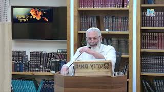 המשפחה הישראלית לאור רחל אימנו ופרשיות השבוע | חיזוק התא המשפחתי | הרב רן בן משה (ישיבת מכון מאיר) - התמונה מוצגת ישירות מתוך אתר האינטרנט יוטיוב. זכויות היוצרים בתמונה שייכות ליוצרה. קישור קרדיט למקור התוכן נמצא בתוך דף הסרטון המשפחה הישראלית לאור רחל אימנו ופרשיות השבוע | חיזוק התא המשפחתי | הרב רן בן משה (ישיבת מכון מאיר) - התמונה מוצגת ישירות מתוך אתר האינטרנט יוטיוב. זכויות היוצרים בתמונה שייכות ליוצרה. קישור קרדיט למקור התוכן נמצא בתוך דף הסרטון