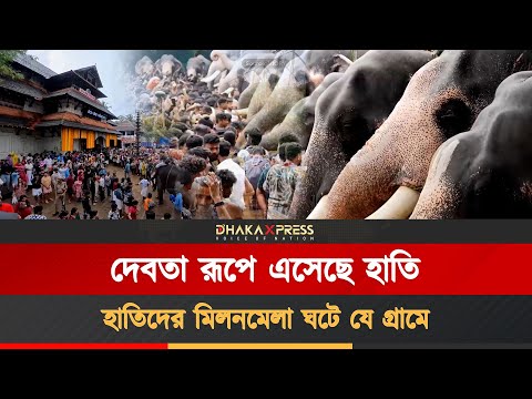 যে গ্রামে হয় হাতির মিলনমেলা