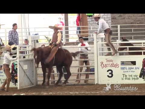 Mare riding at Arena Vallarta 2013