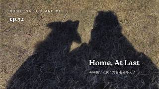 【カナダ・エドモントン】引越後、ようやく落ち着き始めた生活｜保護犬２匹と暮らす日々