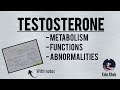 Testosterone - Metabolism, Functions, Applied Clinical Abnormality || Reproductive Physiology