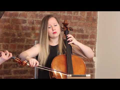 Promotional video thumbnail 6 for Stellar Strings