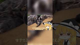 【ARK】ゆっくり達のサバイバル生活！#1
