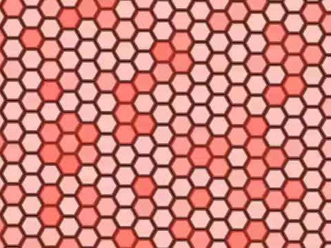 Kobedakid - Freestyle