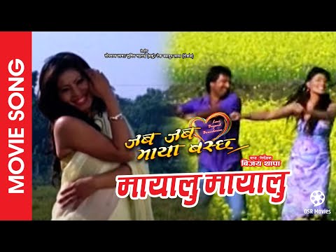 Mayalu Mayalu || JABA JABA MAYA BASCHHA || Nepali Movie Song || Rekha Thapa, Jiwan Luitel
