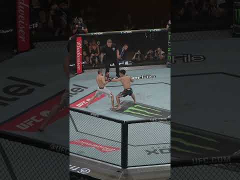 UFC video artwork