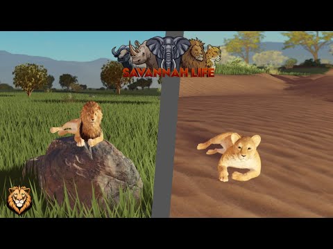 Hunting as Lion Savannah Life ⏐ Roblox PT1