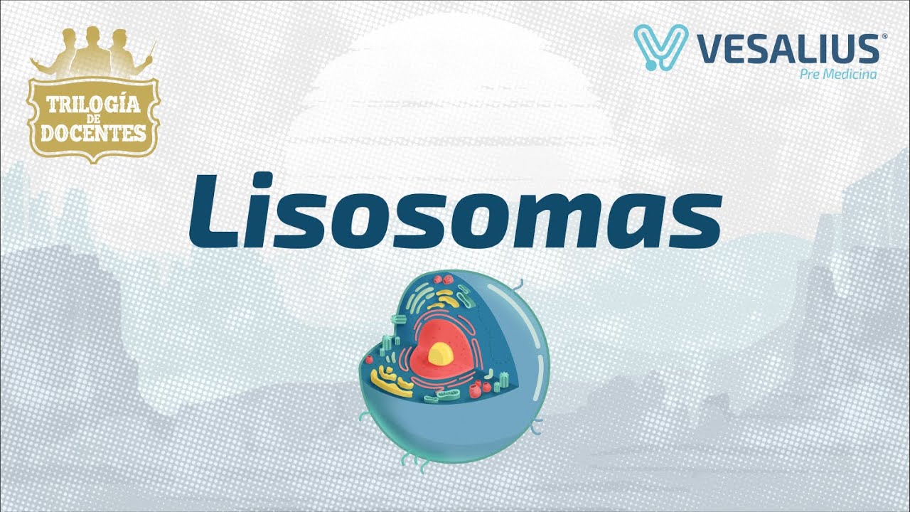 LISOSOMAS