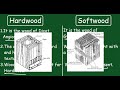 Hardwood Vs Softwood Quick Difference And Comparisons