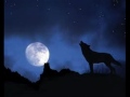 Cat Empire Lonely Moon vid