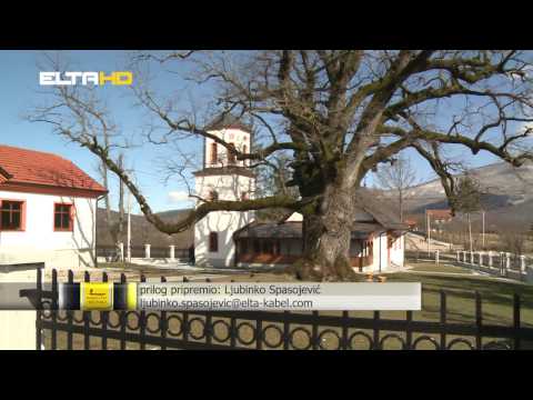 BL HRONIKA 21 03 17   CER STAR 600 GODINA