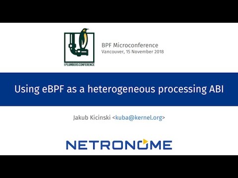 Using eBPF as a Heterogeneous Processing ABI