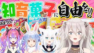 獅白ぼたん - ホロメンが全力でつくった知育菓子を見てくれ！！ #ししろんのゴールデンなウィーク ④【獅白ぼたん/ホロライブ】