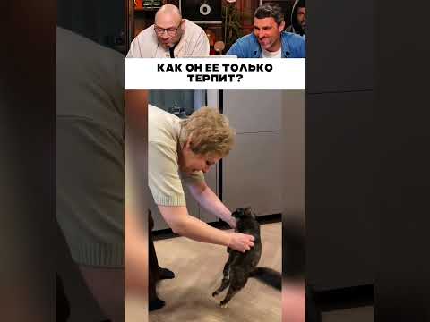 Как он ее только терпит ? 😹