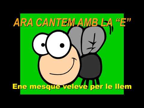 La Guardiola Groga   "Una mosca volava per la llum"