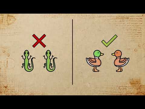 Artkonzepte - what is?!