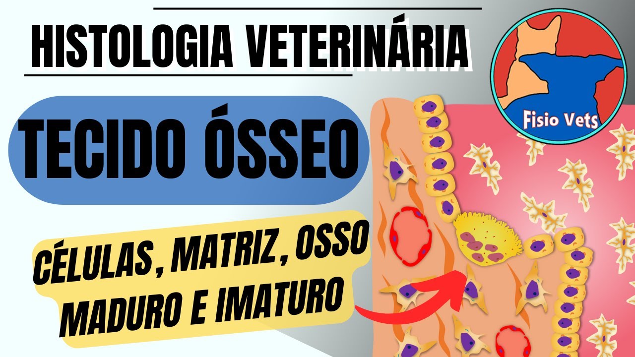 Histologia do Tecido ósseo (células, matriz, osso maduro e imaturo) - Medicina Veterinária