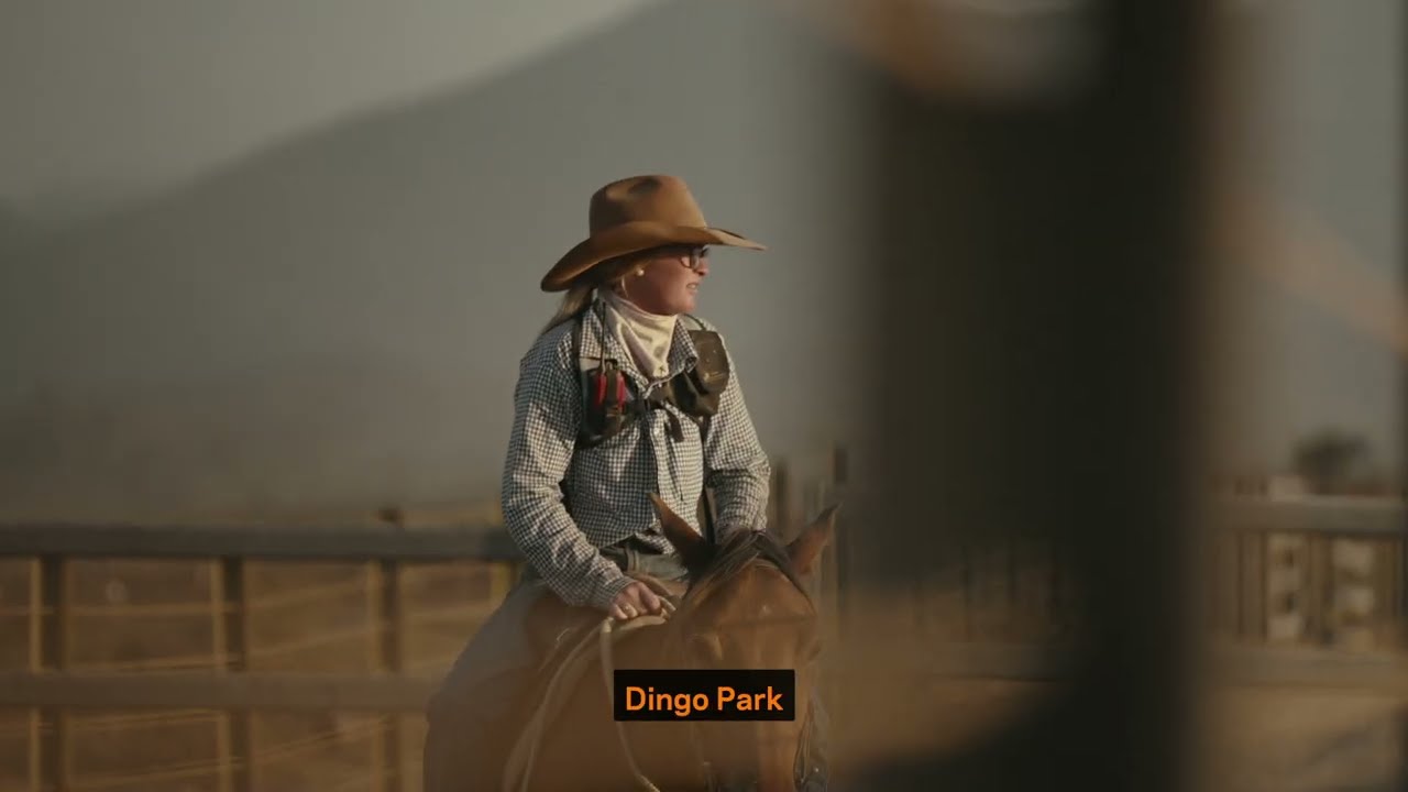 Gallagher Dingo Park - SM3 16:9