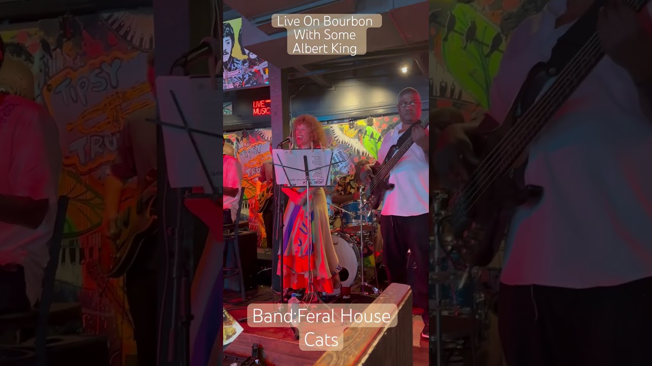 Promotional video thumbnail 3 for Feral House Cats