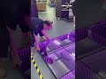 Setting up the LED dance floor is quick and simple #leddancefloor #djfloor #ledfloor #usa