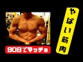 LBGYMで100日間 毎日筋トレすれば、こんなマッチョになりますよ!体重を気にしないのが理解力があります