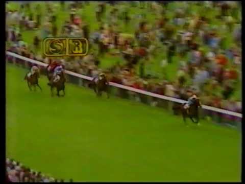 Assert 1982 Benson & Hedges gold cup