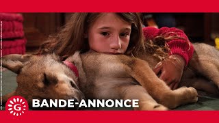 MYSTÈRE - Bande-annonce