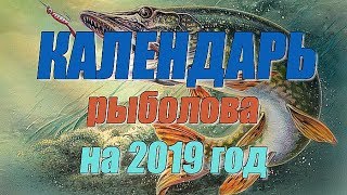 Рыбный календарь клева на 2019 год карелия