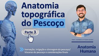 ANATOMIA TOPOGRÁFICA DO PESCOÇO - PARTE 3 (FINAL)