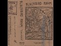 Blackbird Raum - Witches 