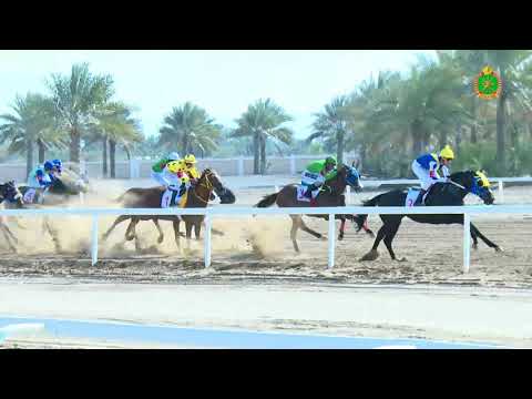 الشوط الثالث - السباق الحادي عشر - Race 3 11th meeting